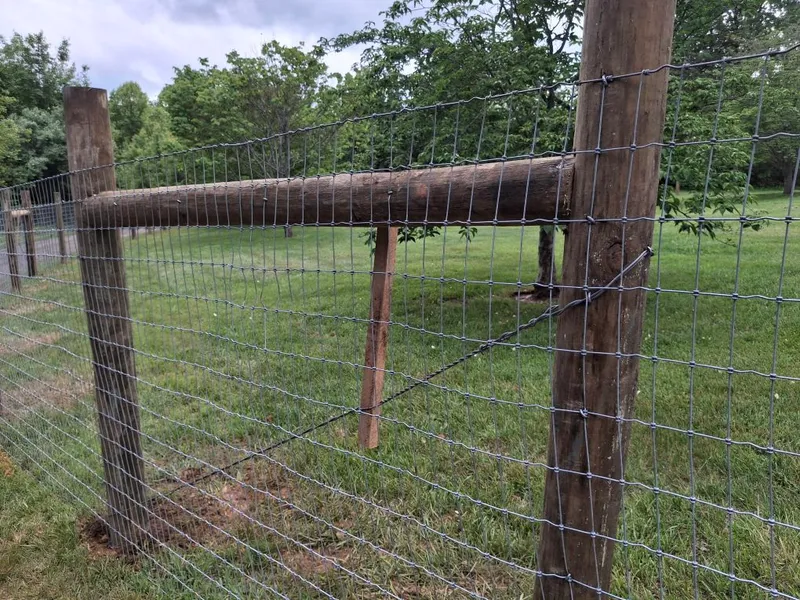 Post & Wire Horse Fence
