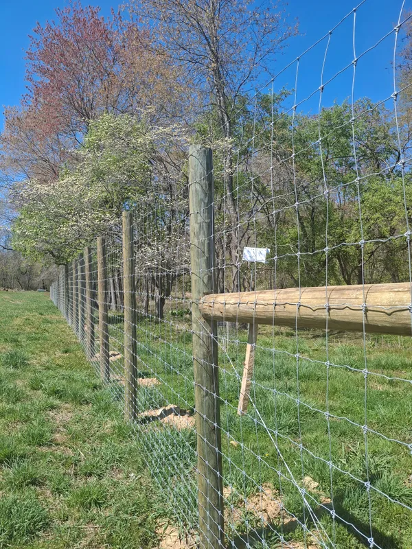 Deer Fence