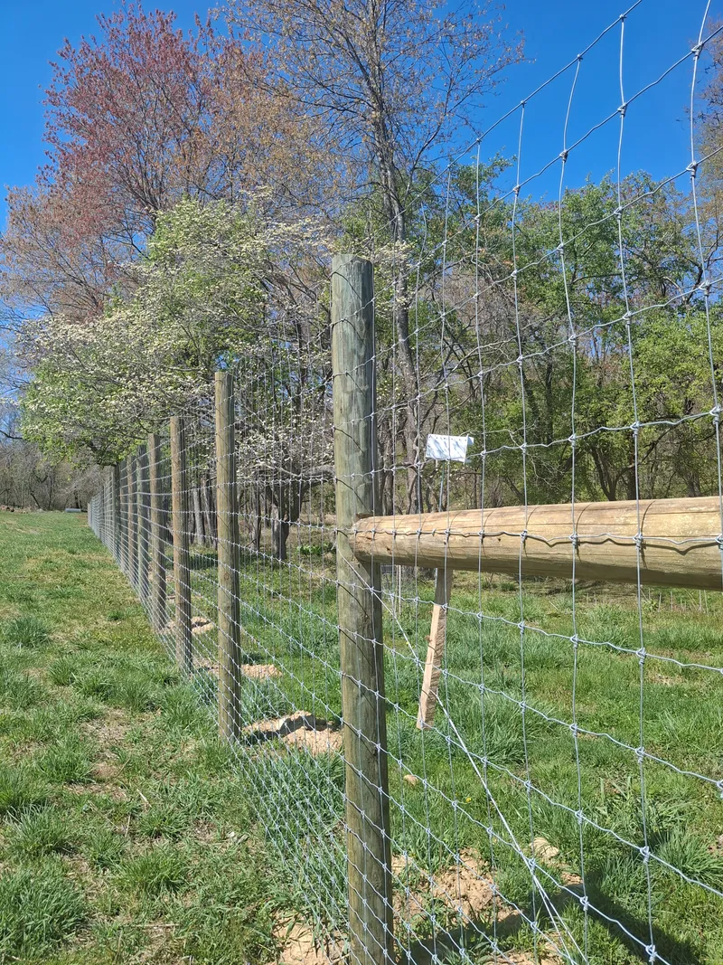 Post & Wire Deer Fence in Markham VA